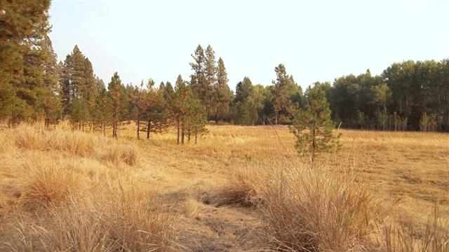 0 South Harmony & Mullinix Road Cheney, WA 99004 - Photo 16 of 18 Gallery Image 16