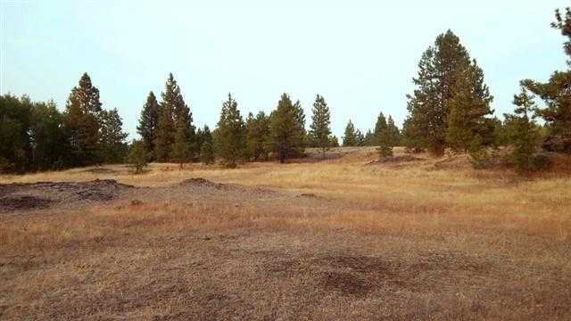 0 South Harmony & Mullinix Road Cheney, WA 99004 - Photo 17 of 18 Gallery Image 17