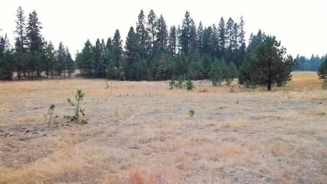 0 South Harmony & Mullinix Road Cheney, WA 99004 - Photo 18 of 18 Gallery Image 18