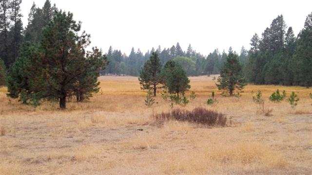 0 South Harmony & Mullinix Road Cheney, WA 99004 - Photo 3 of 18 Gallery Image 3