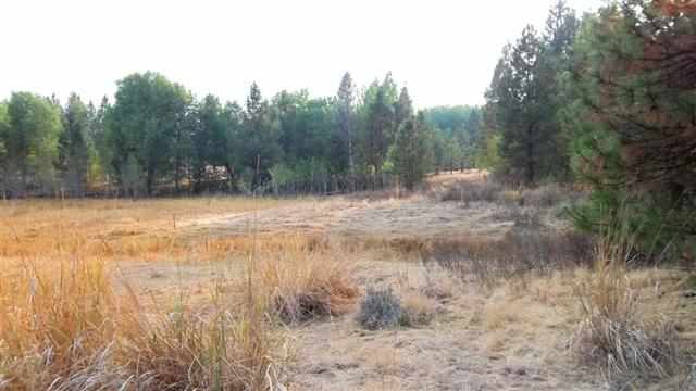 0 South Harmony & Mullinix Road Cheney, WA 99004 - Photo 5 of 18 Gallery Image 5