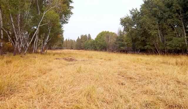0 South Harmony & Mullinix Road Cheney, WA 99004 - Photo 6 of 18 Gallery Image 6