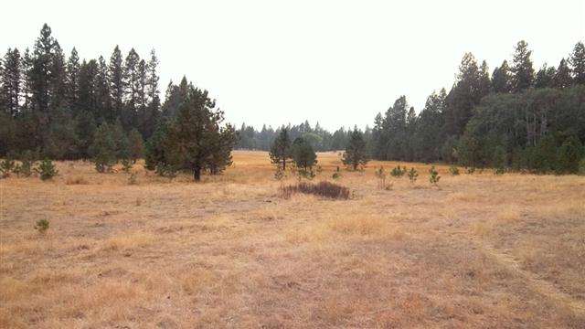 0 South Harmony & Mullinix Road Cheney, WA 99004 - Photo 10 of 18 Gallery Image 10