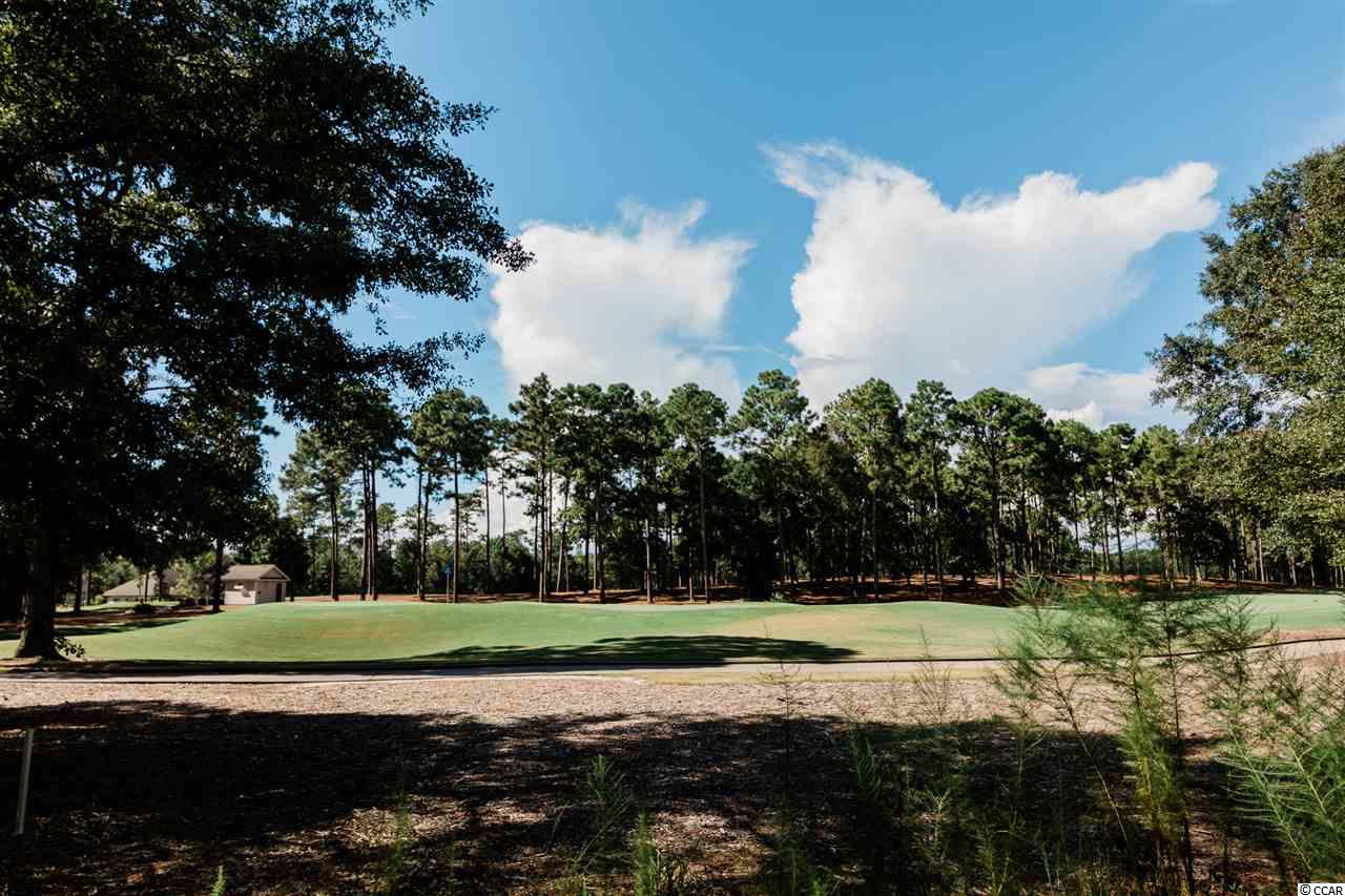 103 Highwood Circle Murrells Inlet, SC 29576 - Photo 33 of 38 Gallery Image 33