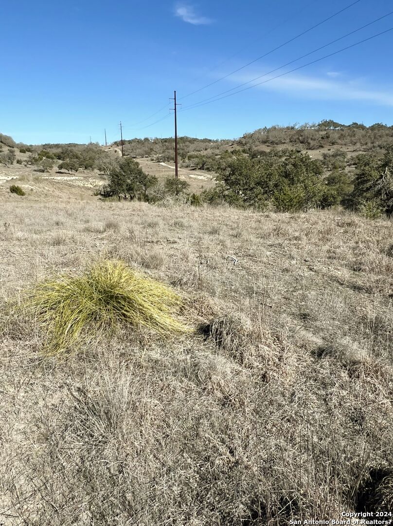 2985 Maenius Road Blanco, TX 78606 - Photo 13 of 15