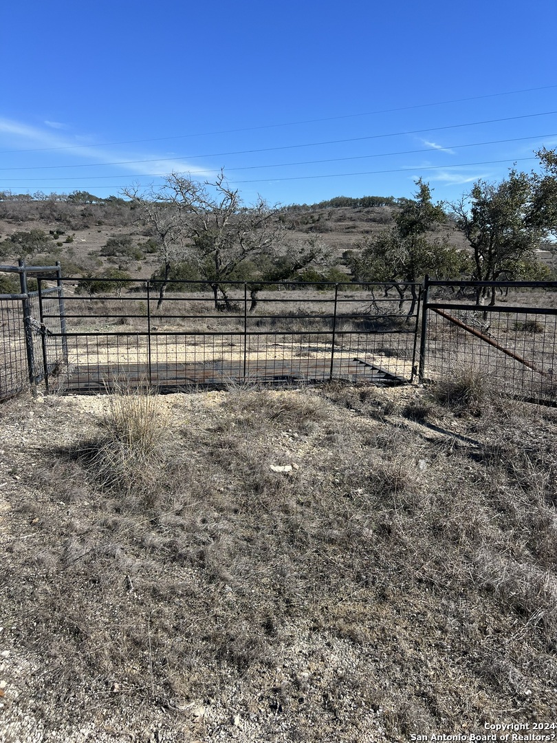 2985 Maenius Road Blanco, TX 78606 - Photo 3 of 15