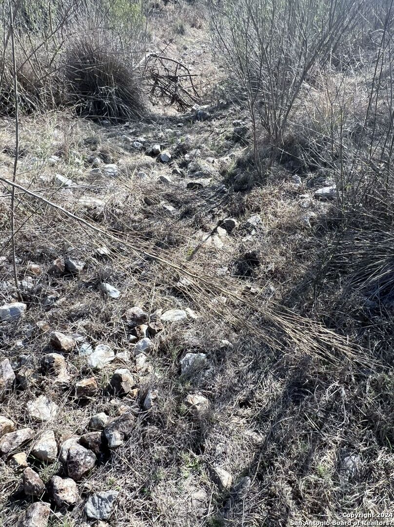 2985 Maenius Road Blanco, TX 78606 - Photo 4 of 15