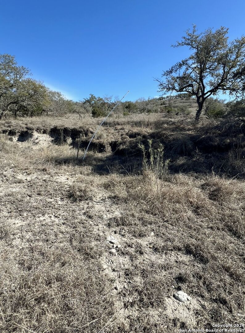 2985 Maenius Road Blanco, TX 78606 - Photo 5 of 15