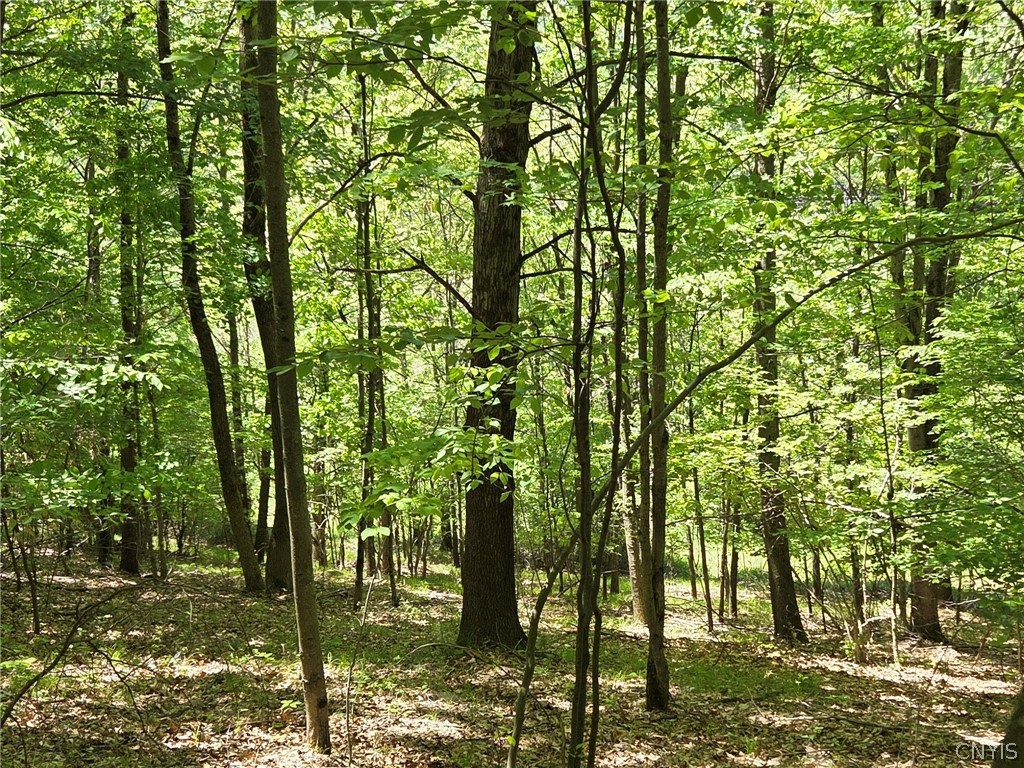 Lillibridge Road Olean, NY 14760 - Photo 23 of 48