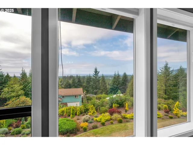 a view of a garden from a window