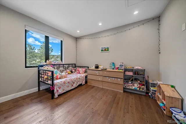 a bed room with furniture and a wooden floor