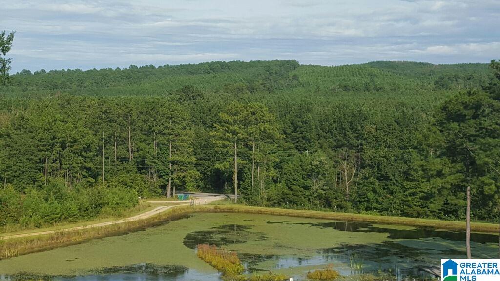 2095 Selma Road Centreville, AL 35042 - Photo 5 of 22