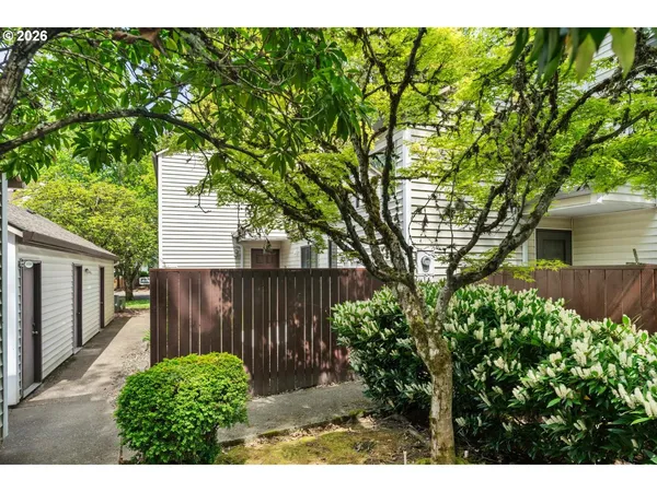 a view of backyard with plants and trees