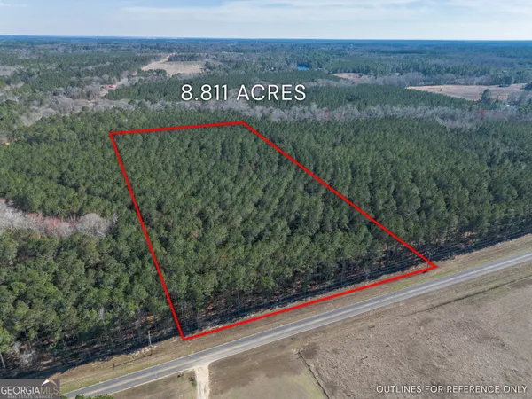 $70,000 | Lot 3 Ben Giddens Road, Eastman, GA 31023