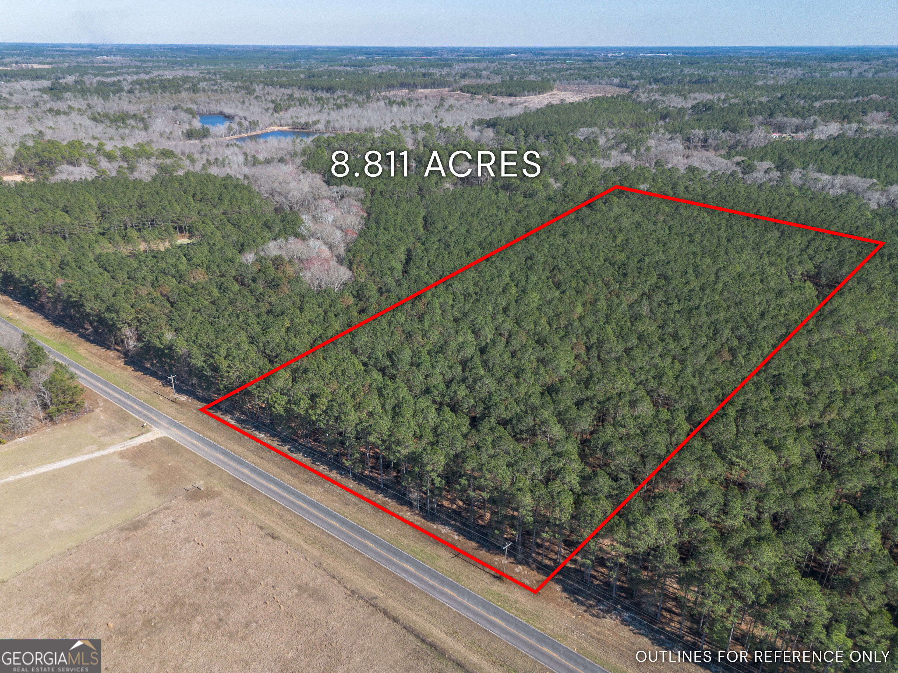 Lot 3 Ben Giddens Road Eastman, GA 31023 - Photo 2 of 9