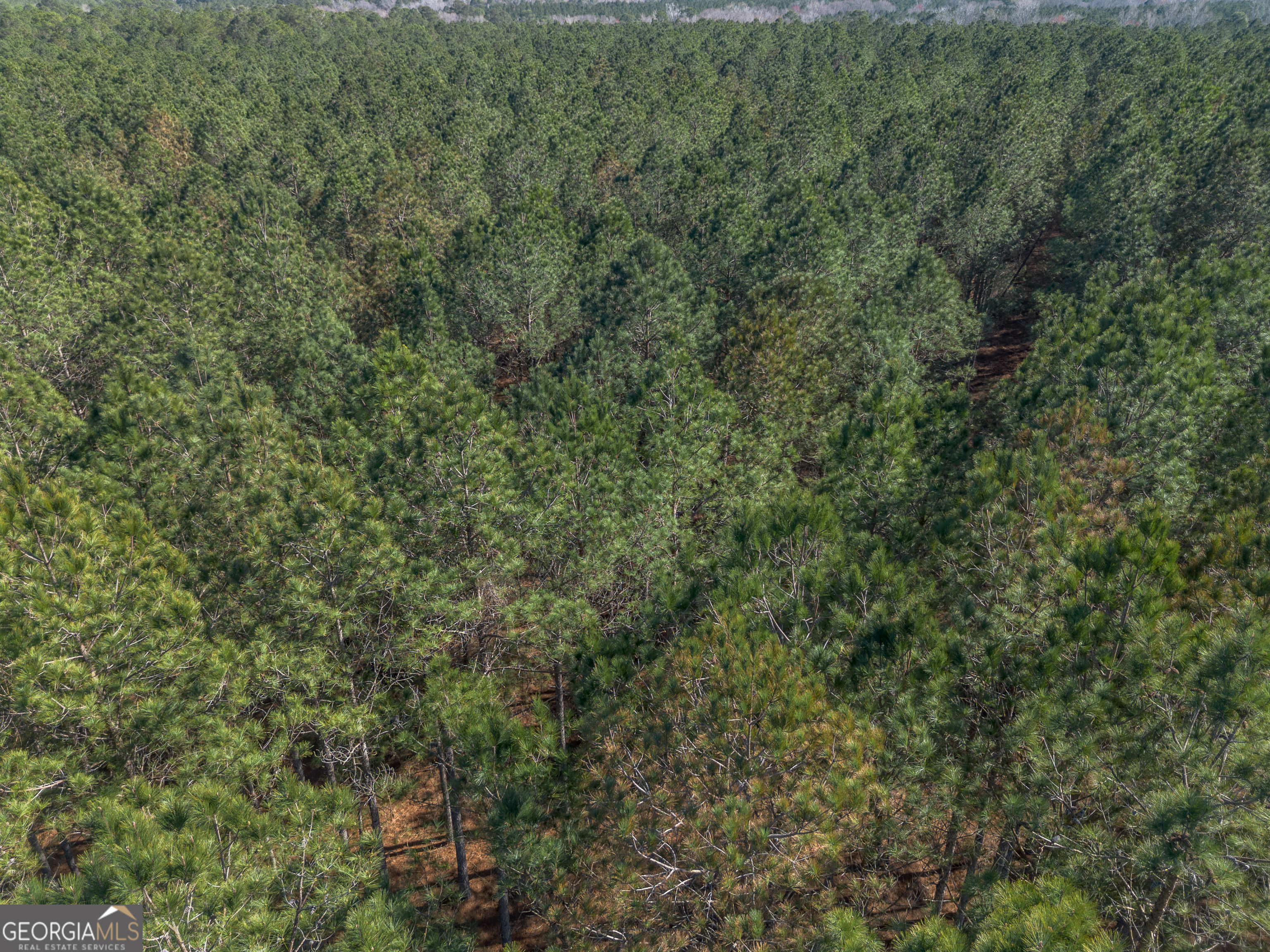 Lot 3 Ben Giddens Road Eastman, GA 31023 - Photo 3 of 9