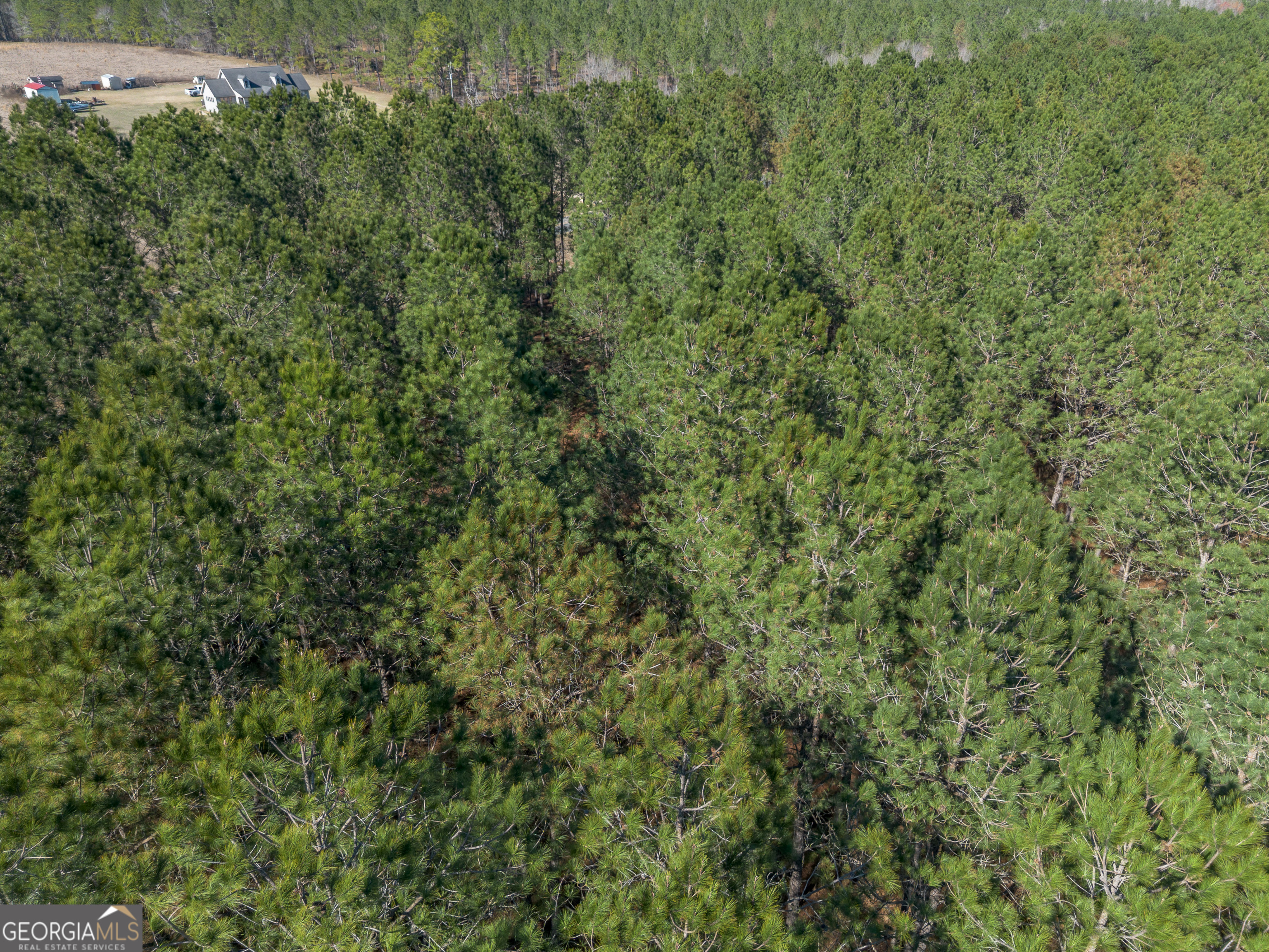 Lot 3 Ben Giddens Road Eastman, GA 31023 - Photo 4 of 9