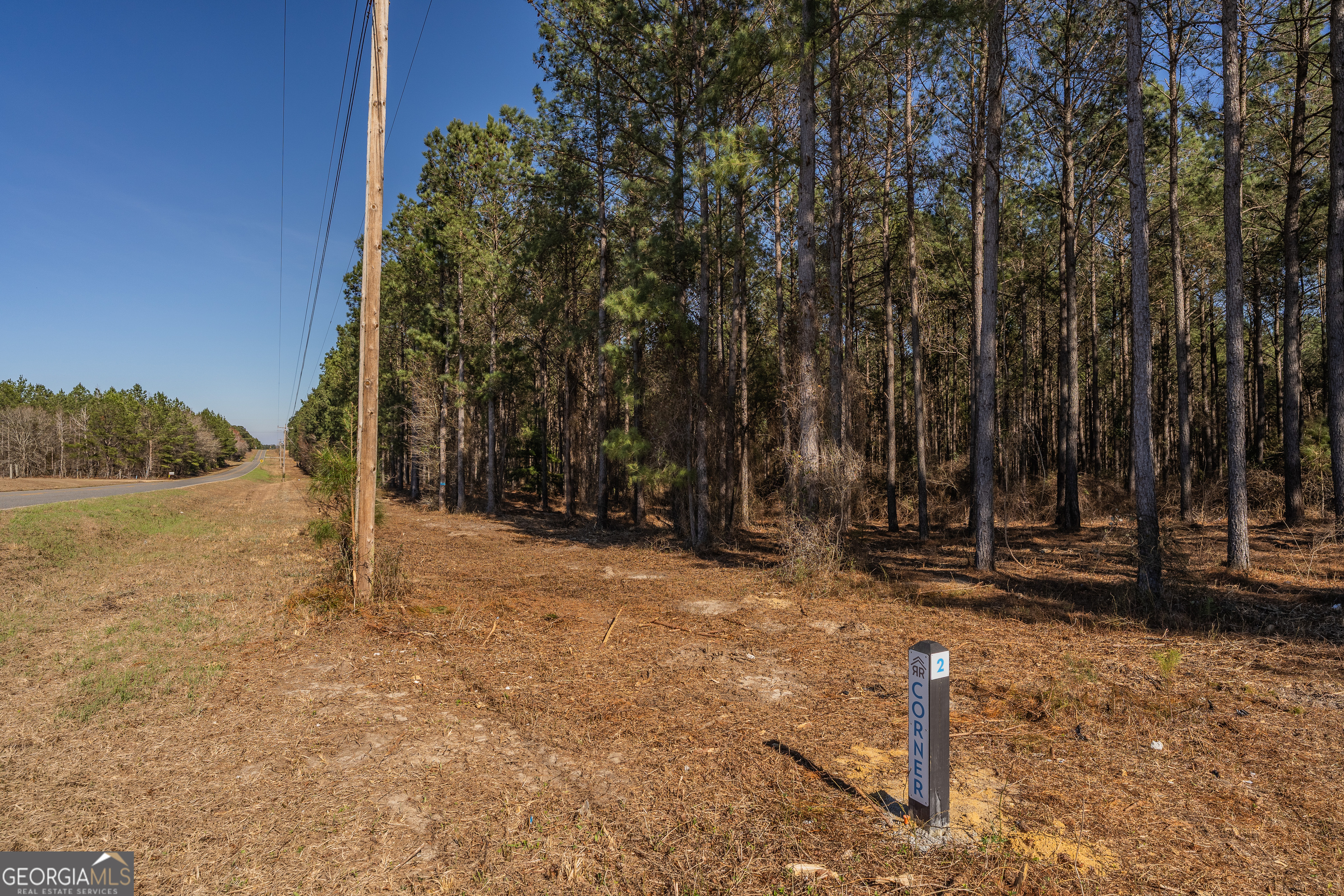 Lot 3 Ben Giddens Road Eastman, GA 31023 - Photo 6 of 9