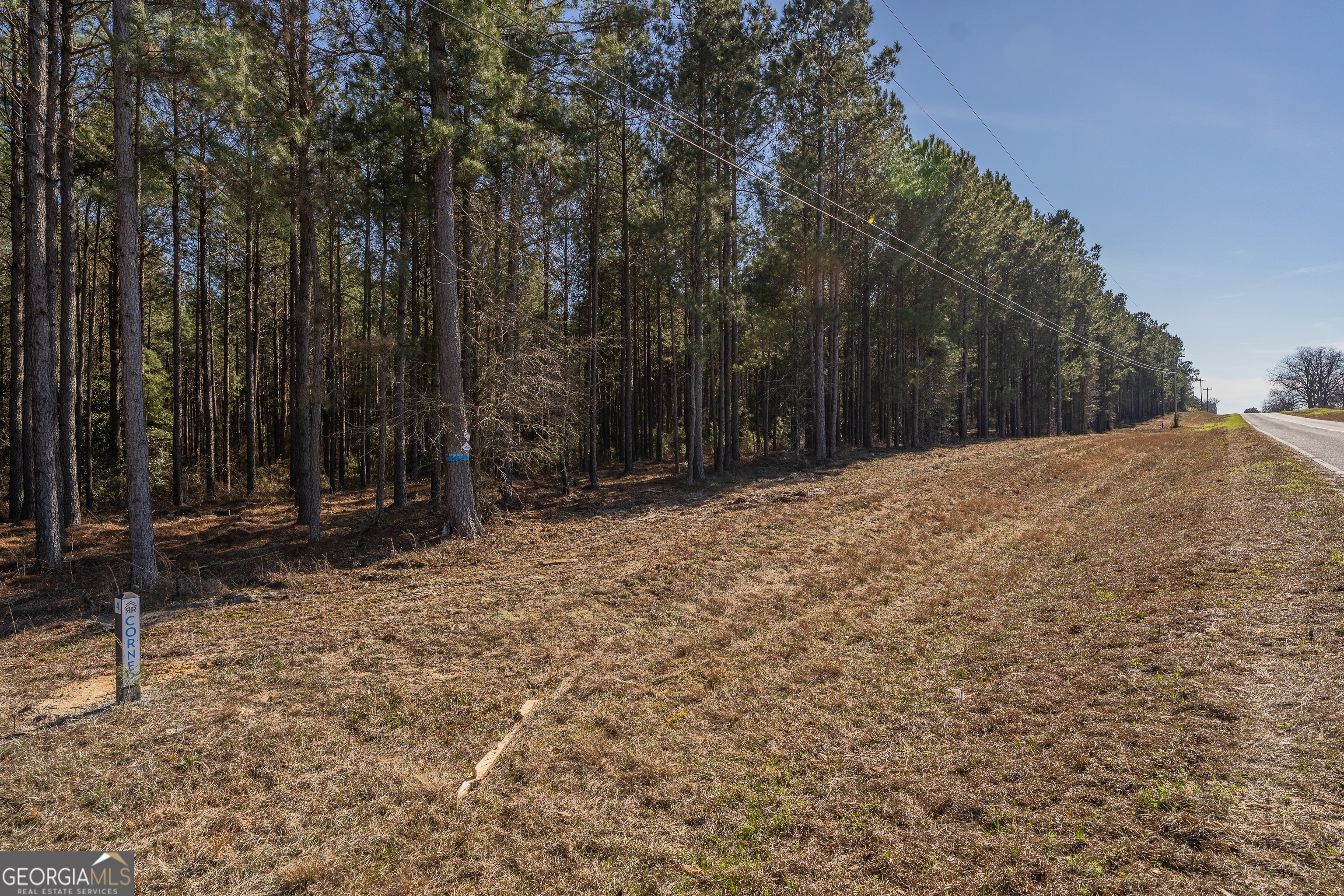 Lot 3 Ben Giddens Road Eastman, GA 31023 - Photo 7 of 9