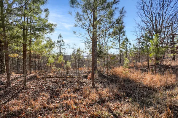 a view of a lake with lots of trees