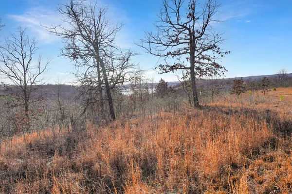 a view of a yard of the house