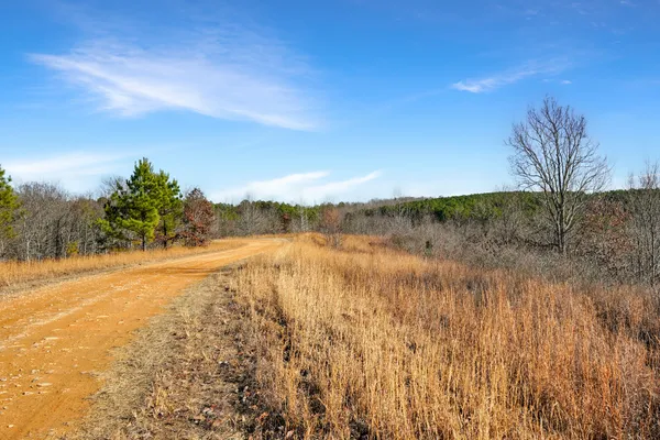 a view of lake and mountain