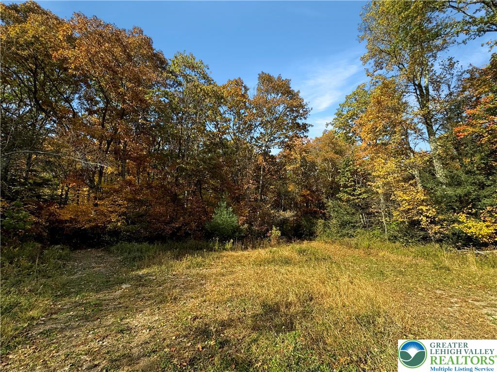 228 Victory Lane Stroudsburg, PA 18360 - Photo 12 of 14