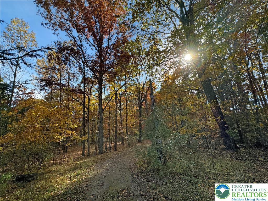 228 Victory Lane Stroudsburg, PA 18360 - Photo 13 of 14