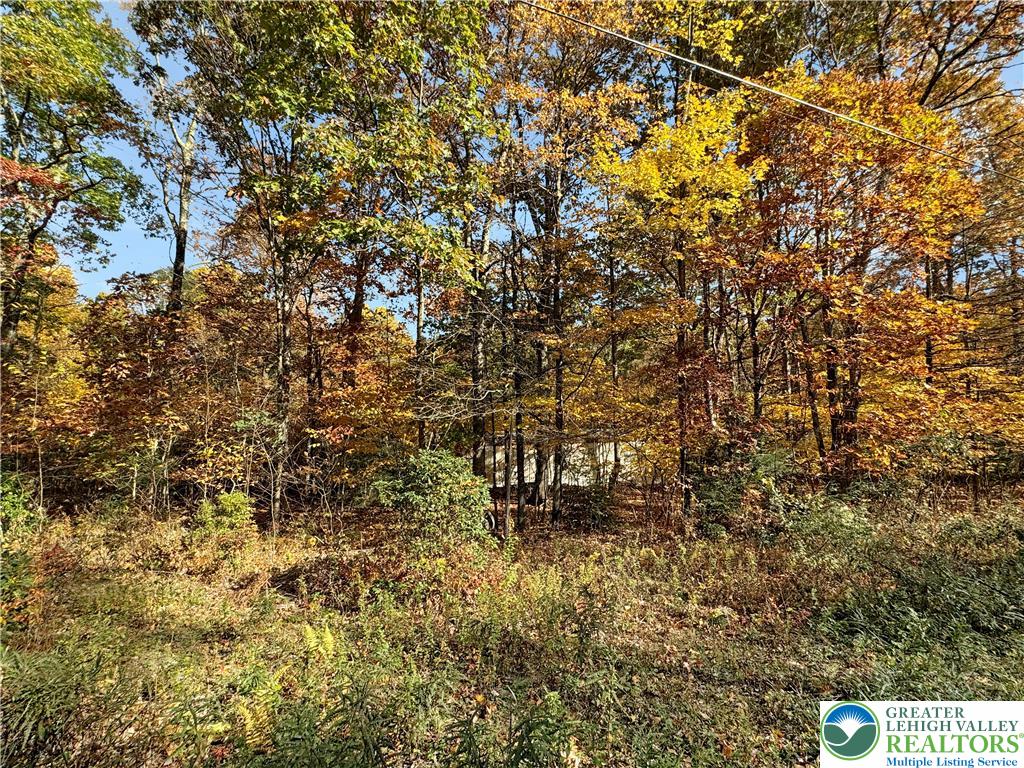 228 Victory Lane Stroudsburg, PA 18360 - Photo 10 of 14