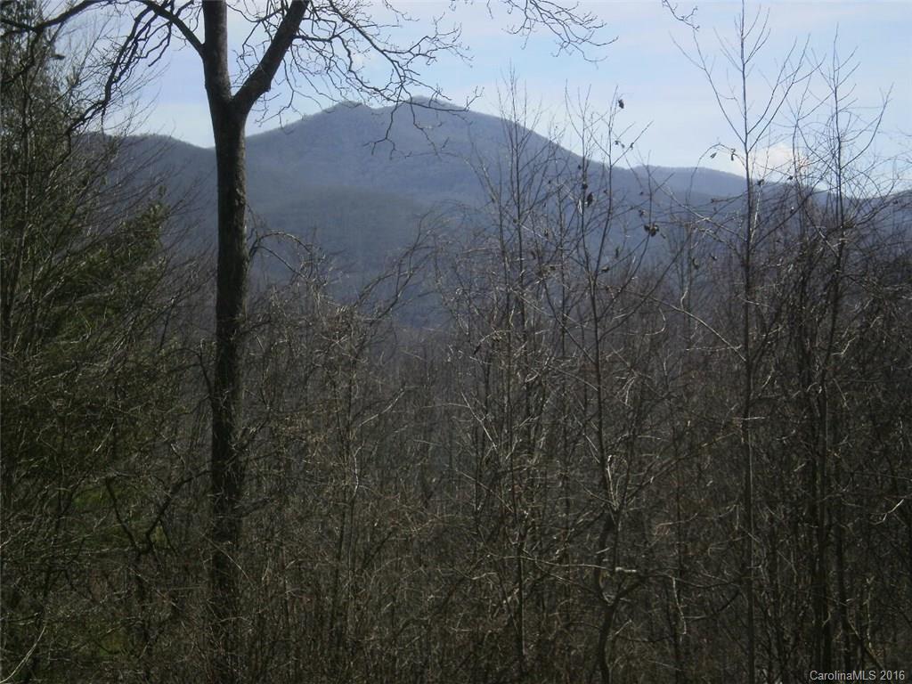 112 Althea Ridge Road Sylva, NC 28779 - Photo 10 of 17 Gallery Image 10