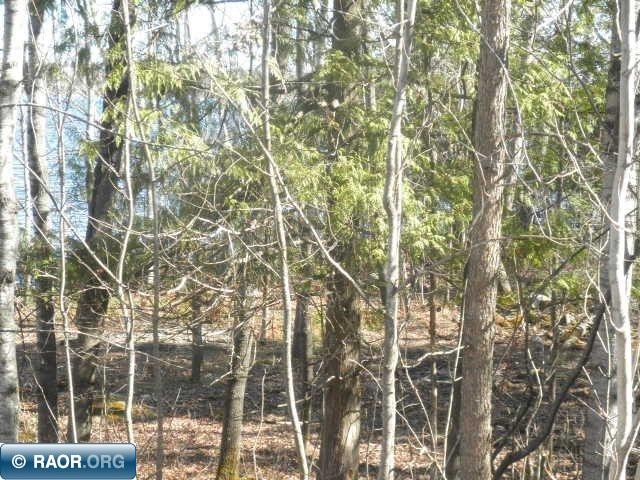 Xxx Pioneer Road Ely, MN 55731 - Photo 11 of 11