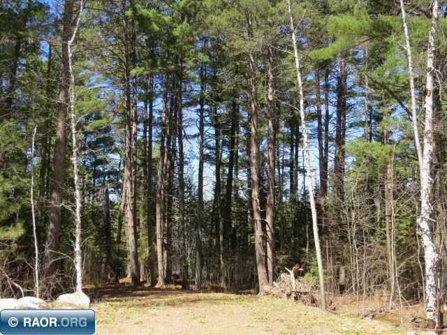 Xxx Pioneer Road Ely, MN 55731 - Photo 6 of 11