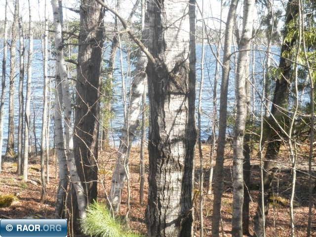 Xxx Pioneer Road Ely, MN 55731 - Photo 10 of 11