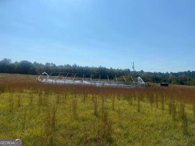 1339 Jones Chapel Road Sparta, GA 31087 - Photo 13 of 14 a view of lake with green space
