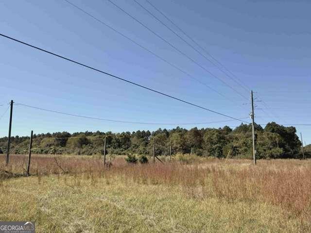 1339 Jones Chapel Road Sparta, GA 31087 - Photo 14 of 14 a view of lake