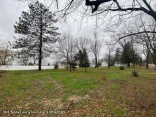 15966 Brook Road Lansing, MI 48906 - Photo 15 of 19 IMG_4748