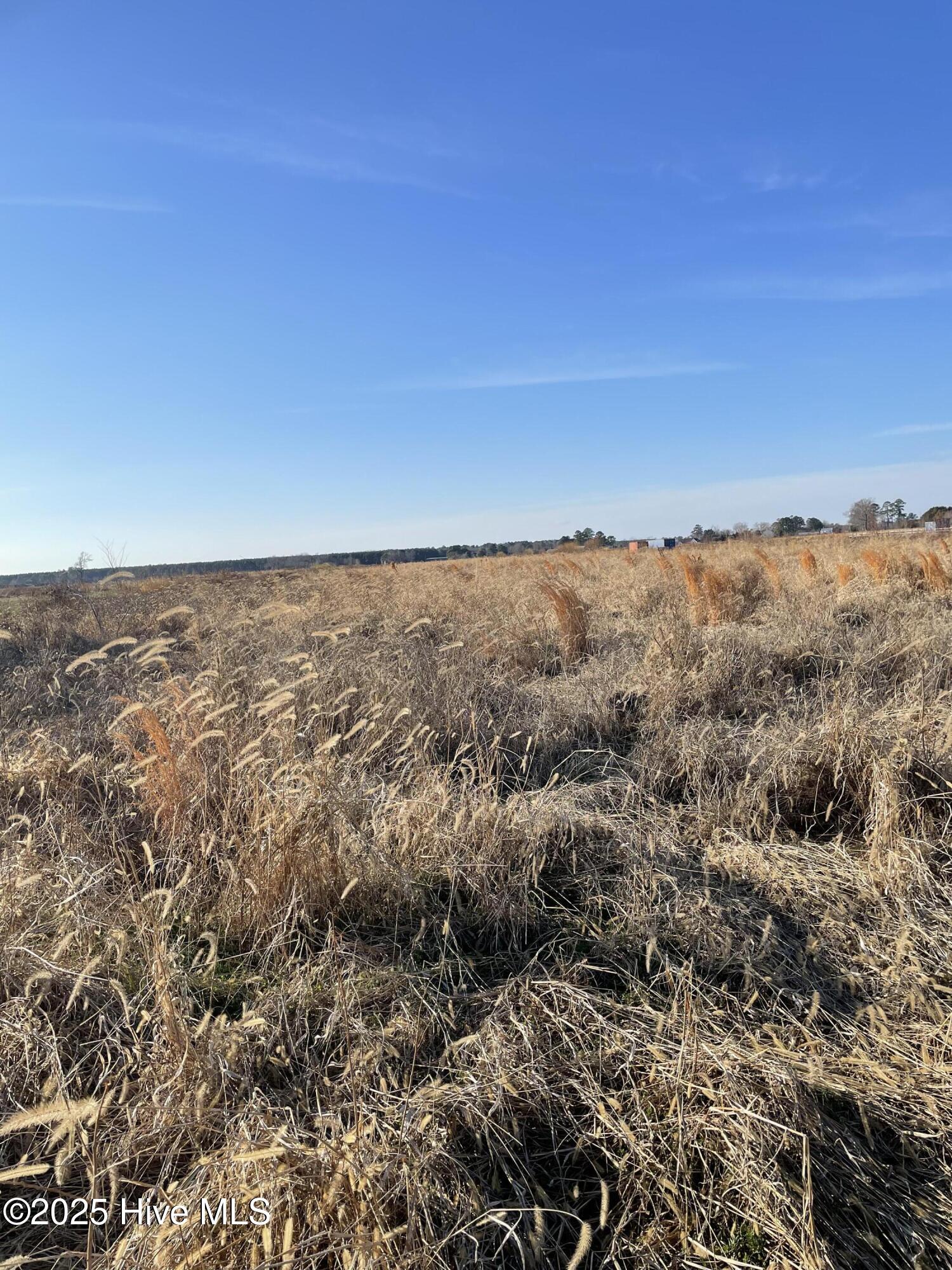 Lot 1 Turnpike Road Elizabeth City, NC 27909 - Photo 2 of 2 t and h 1