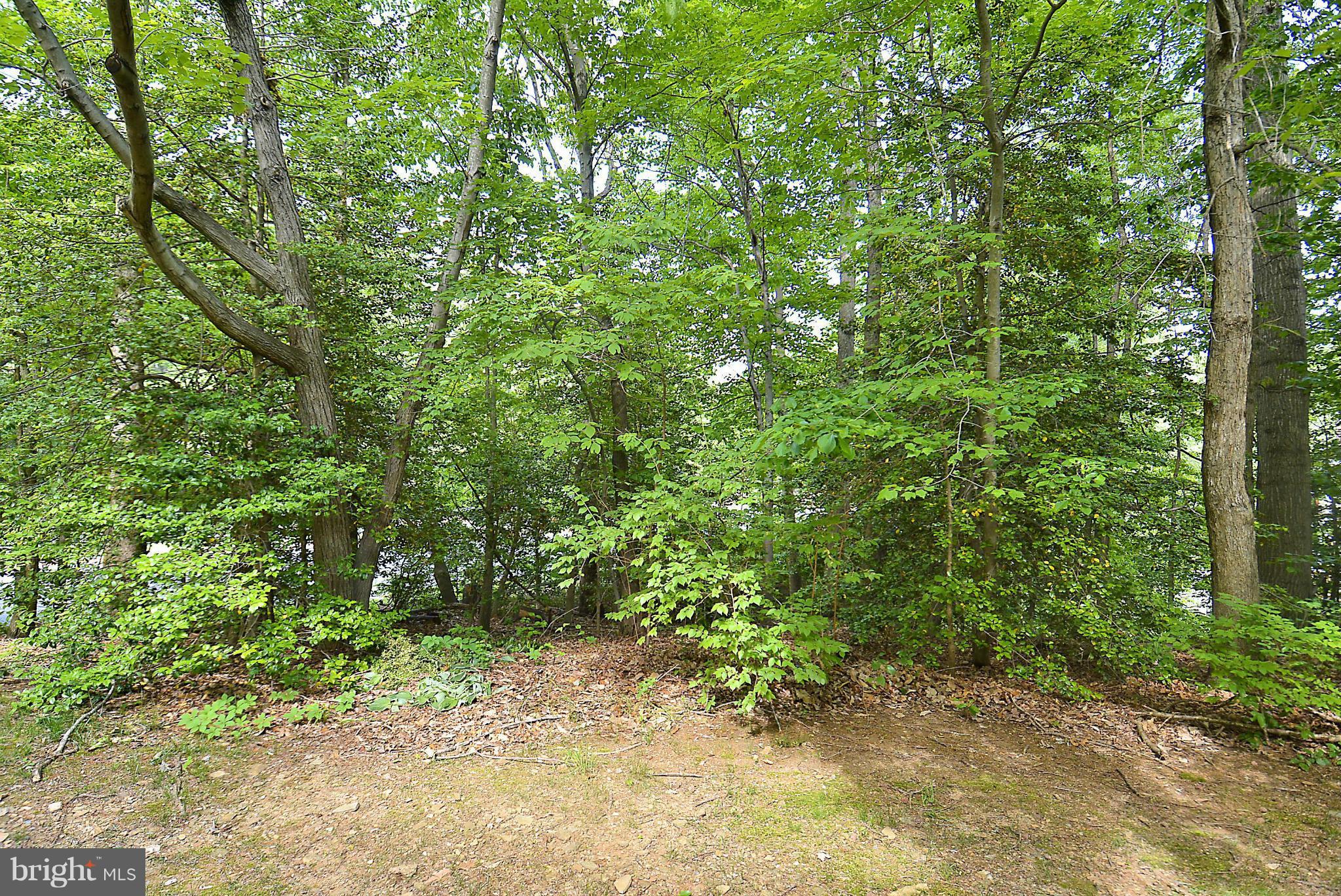 1921 Belmont Ridge Court Reston, VA 20191 - Photo 16 of 26 View