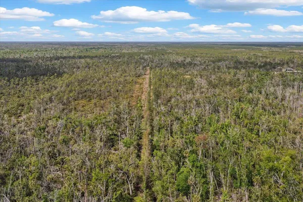 $1,600,000 | 0 Northwest Roys Road, Steinhatchee, FL 32359