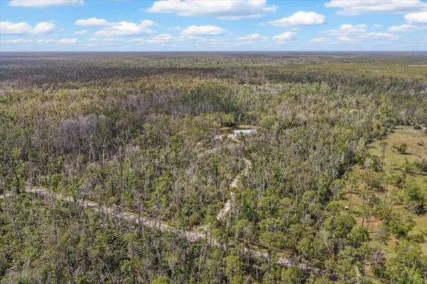 $1,600,000 | 0 Northwest Roys Road, Steinhatchee, FL 32359