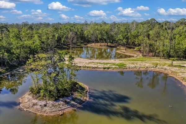 $1,600,000 | 0 Northwest Roys Road, Steinhatchee, FL 32359