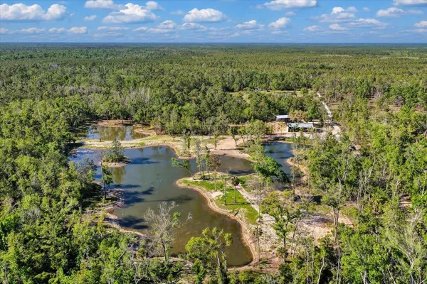 $1,600,000 | 0 Northwest Roys Road, Steinhatchee, FL 32359