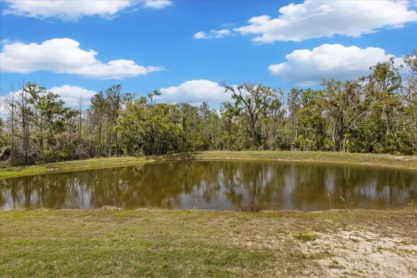 $1,600,000 | 0 Northwest Roys Road, Steinhatchee, FL 32359