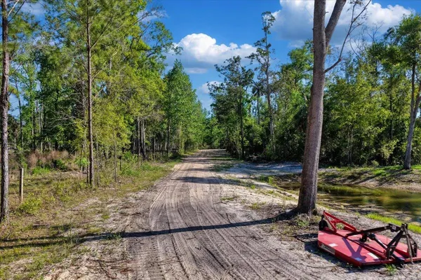 $1,600,000 | 0 Northwest Roys Road, Steinhatchee, FL 32359