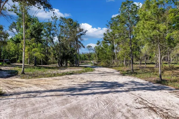 $1,600,000 | 0 Northwest Roys Road, Steinhatchee, FL 32359