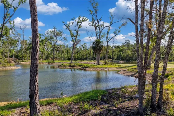 $1,600,000 | 0 Northwest Roys Road, Steinhatchee, FL 32359