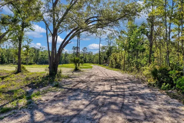 $1,600,000 | 0 Northwest Roys Road, Steinhatchee, FL 32359