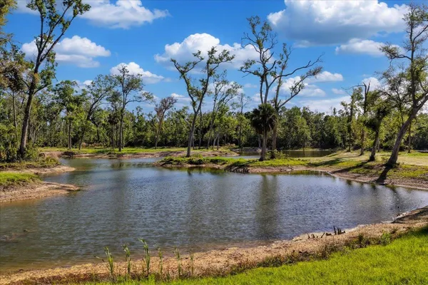 $1,600,000 | 0 Northwest Roys Road, Steinhatchee, FL 32359