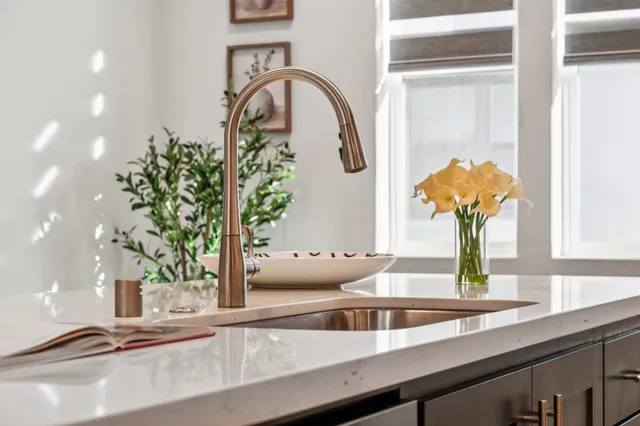 a close view of sink and a potted plant on a counter