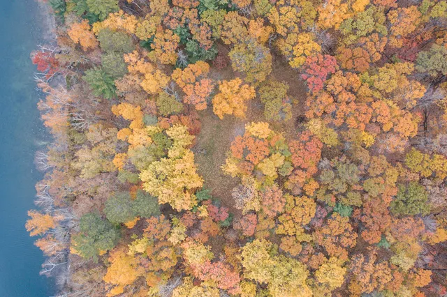 $695,000 | Tbd Strawberry Lake Road, Pequot Lakes, MN 56472